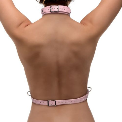 Frisky Miss Behaved Chest Harness Pink from Nice 'n' Naughty